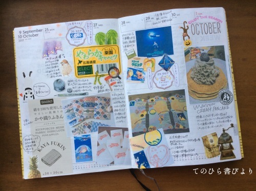 d0285885_17501166.jpeg