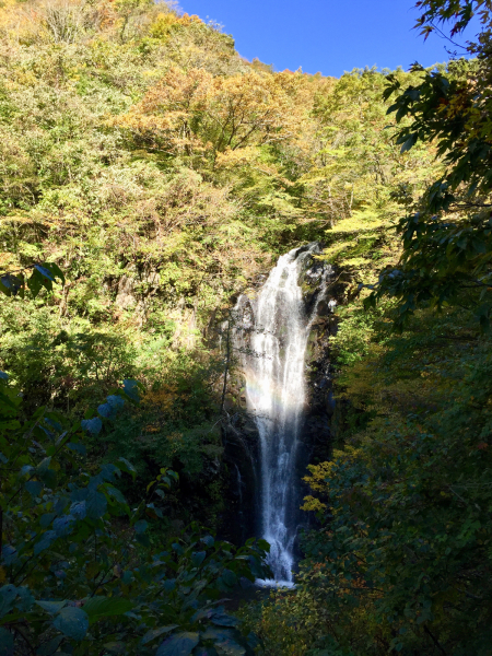 d0182188_11025922.jpg