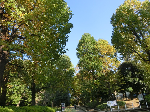 a0319693_6181911.jpg