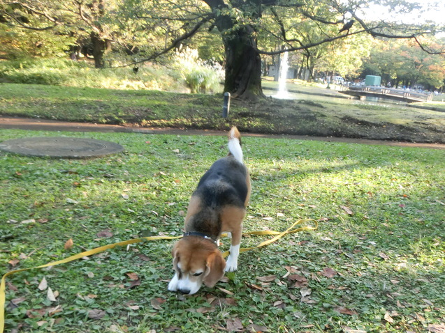 a0319693_6253085.jpg