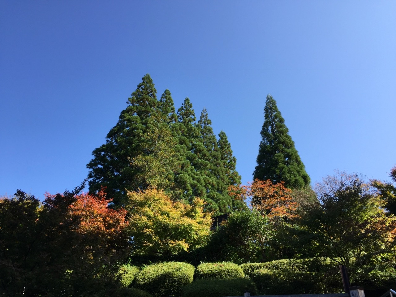 f0130894_22055187.jpg