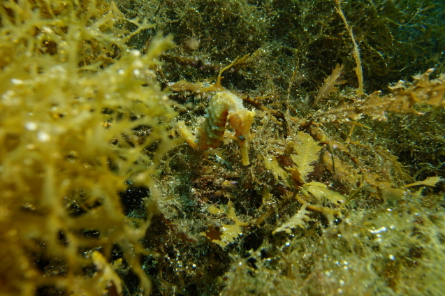 e0115199_13015491.jpg
