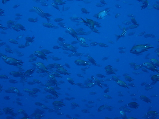 e0115199_13183096.jpg