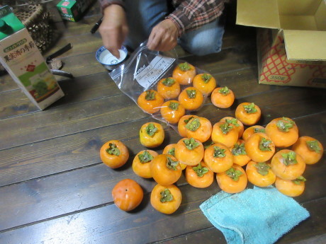 a0203003_20000363.jpg