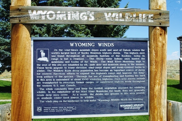 c0062603_04494521.jpg