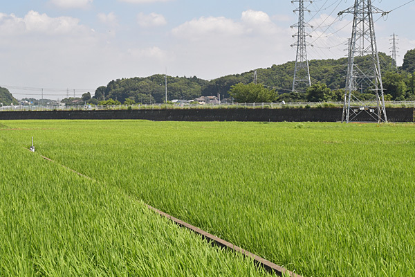 a0278809_13213593.jpg