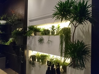 都心に「森をつくろう」!_d0091909_17210612.jpg
