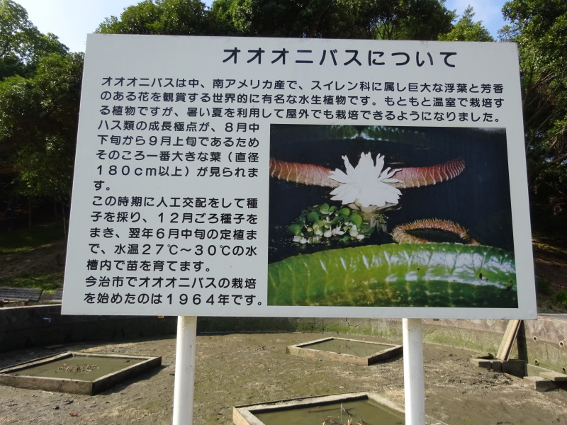 f0231709_15474227.jpg