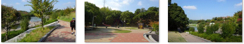 f0231709_15541426.gif