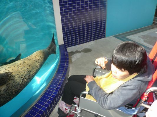 10/27 日帰り旅行_a0154110_10423016.jpg