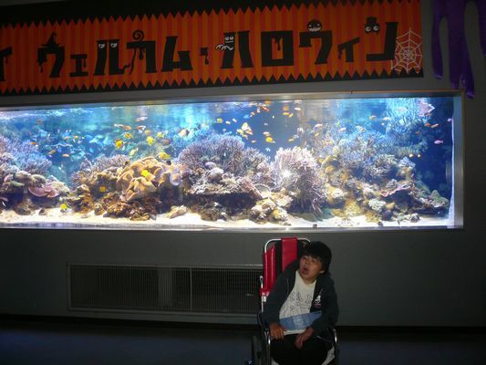 10/27 日帰り旅行_a0154110_10430481.jpg