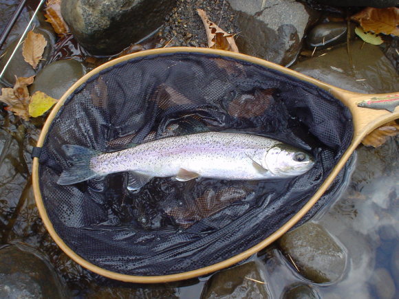 f0280717_14112380.jpg