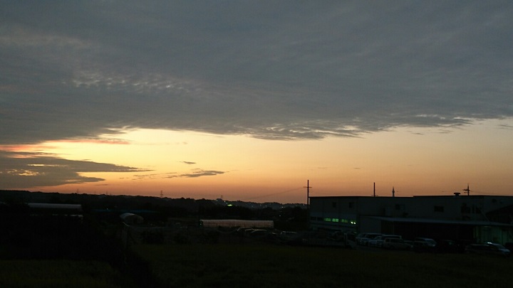 f0228619_13161598.jpg
