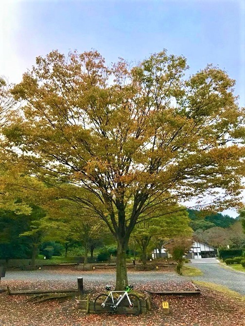 b0194923_09285459.jpg