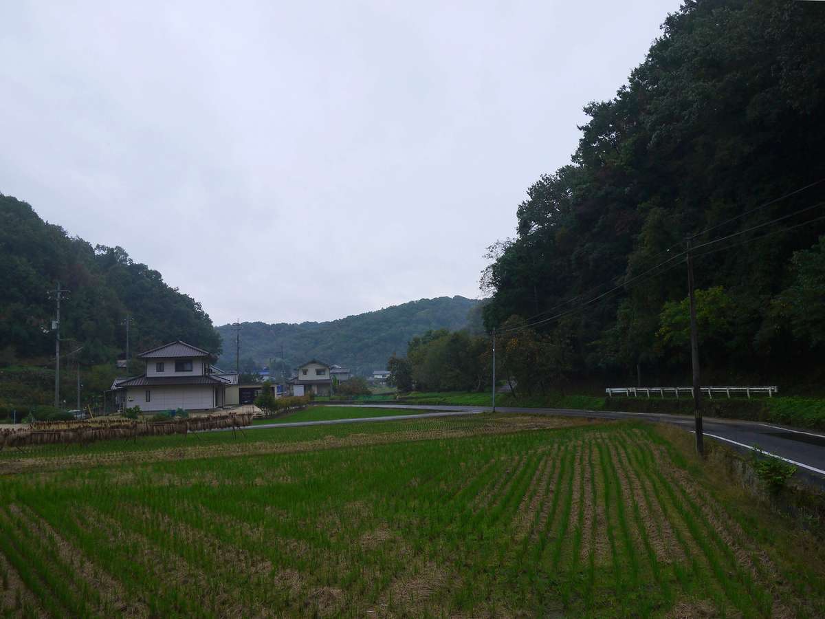 2017年10月28日・・・一転雨の日_f0070823_15570176.jpg