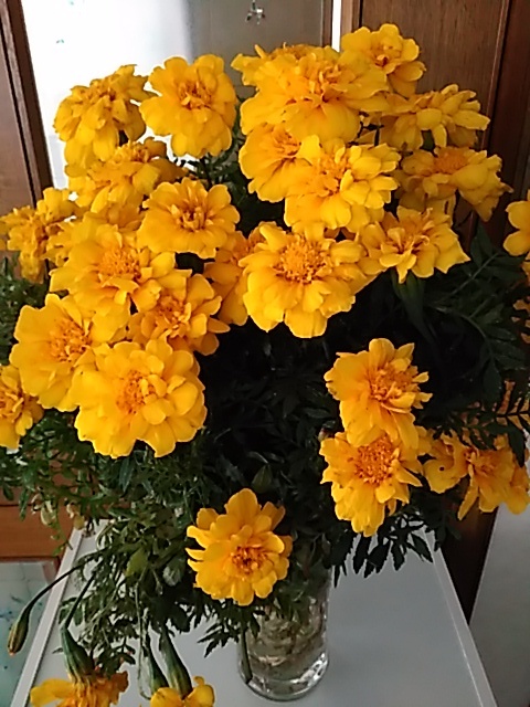 f0354923_00082587.jpg