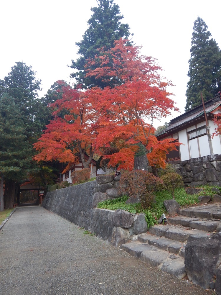 紅葉がピークに_c0111229_21135658.jpg