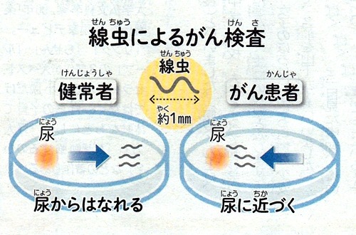 e0033229_18315596.jpg