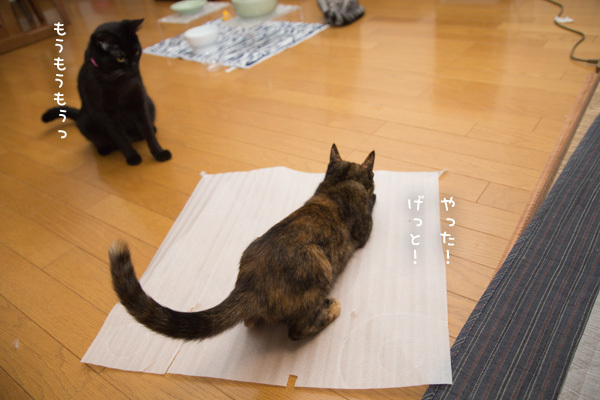 ひとりじめまお_d0355333_18010149.jpg