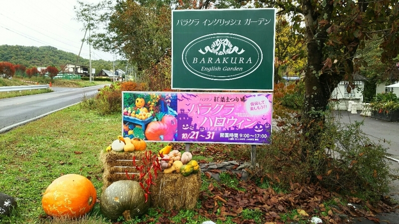 蓼科高原バラクライングリッシュガーデン ◇雨の安曇野・ビーナスラインの旅⑥◇_e0305834_23092731.jpg