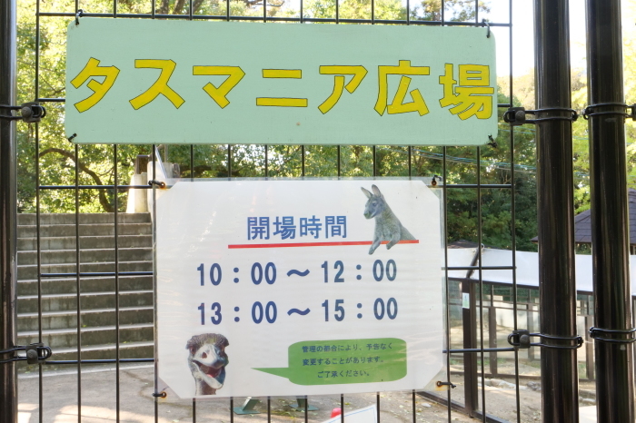 池田市　五月山動物園　ウォンバットさんたち_f0050534_10285578.jpg