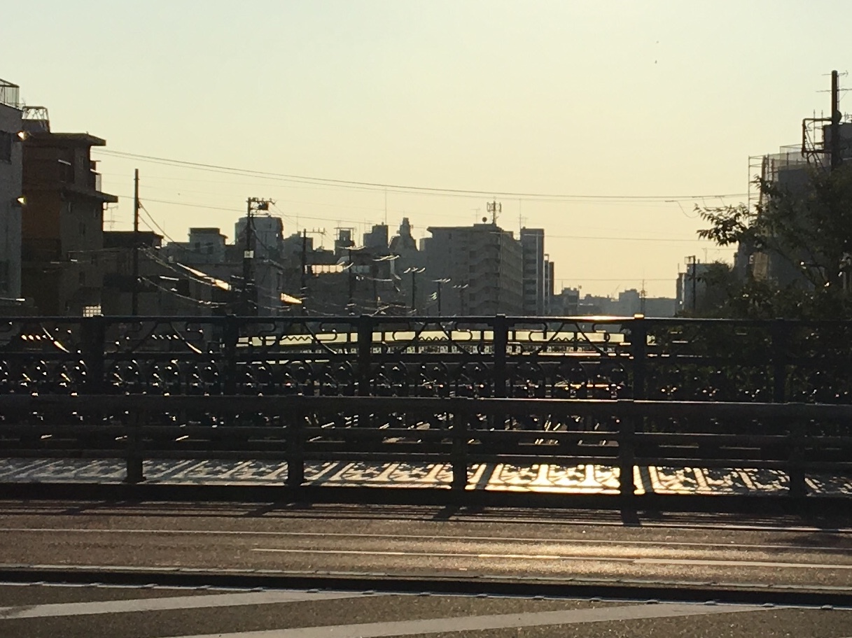 b0330040_13054699.jpeg