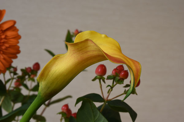 c0346840_15555015.jpg