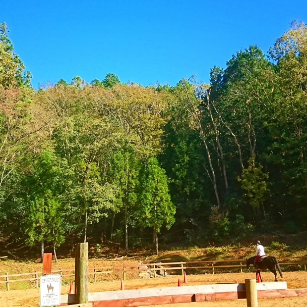 e0145441_01044132.jpg