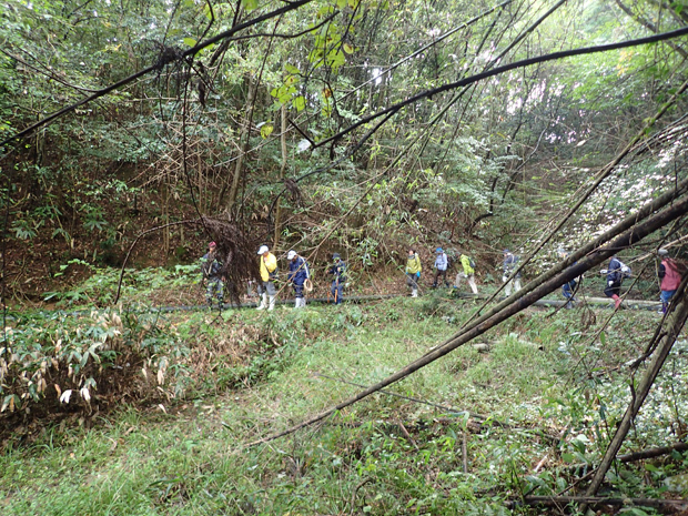 f0214649_05291285.jpg