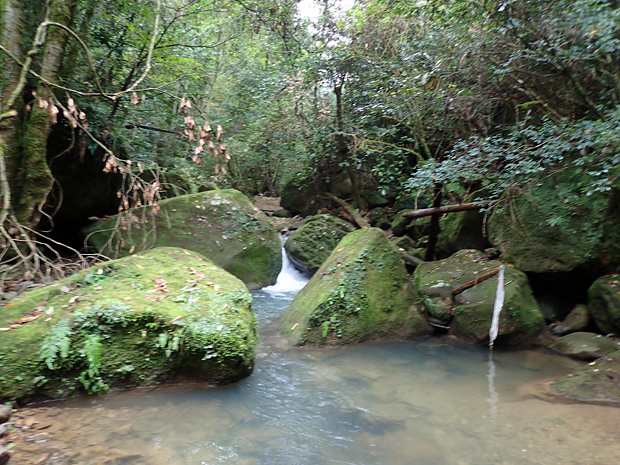 f0214649_05333344.jpg