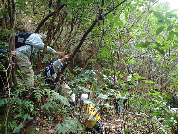 f0214649_05342510.jpg