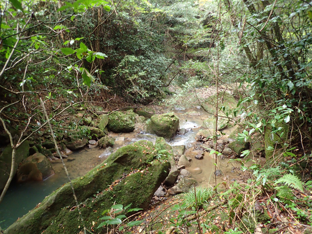 f0214649_05431601.jpg