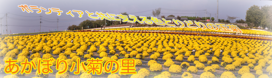 a0290852_2119417.png