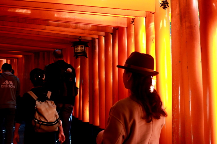 京都出張してます、その2_c0162653_13474380.jpg