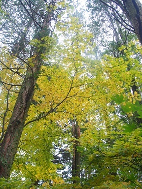 b0335256_20585714.jpg