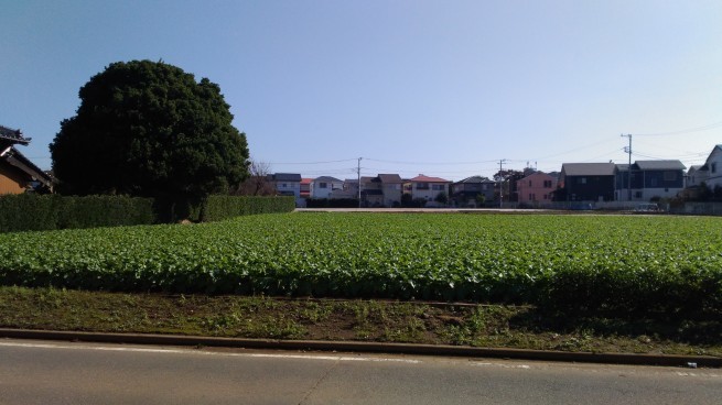 d0271257_15480644.jpg