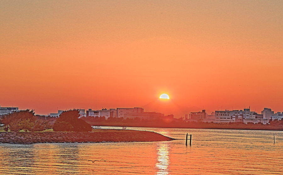 a0150260_04323827.jpg