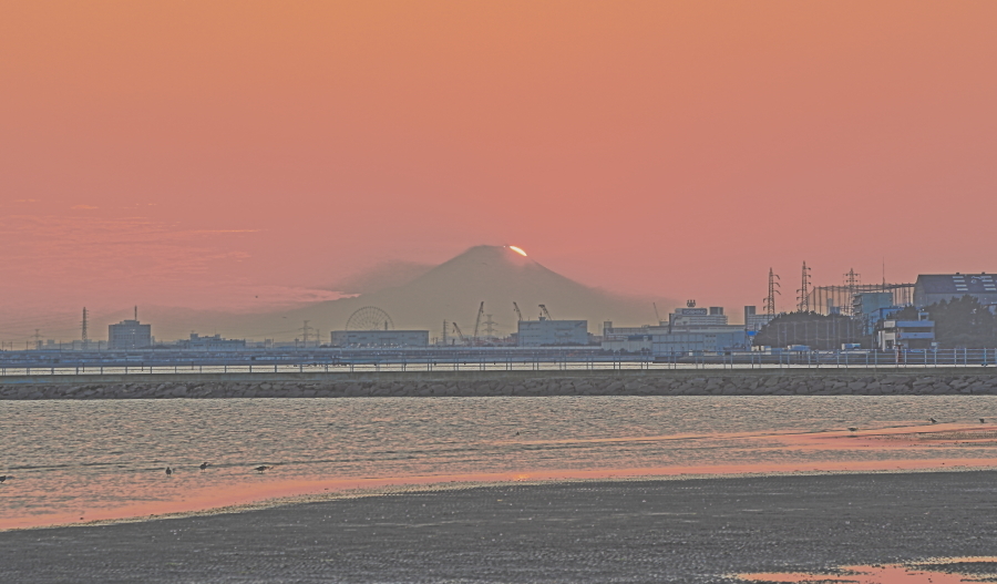 a0150260_23322756.jpg