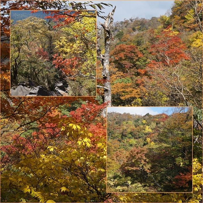 英彦山紅葉鑑賞登山 10月27日の回想 そうだ 山に登ろう 英彦山紅葉鑑賞登山 10月27日の回想 そうだ 山に登ろう
