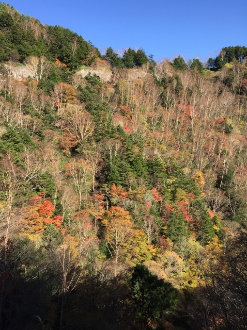 f0350468_18225638.jpeg