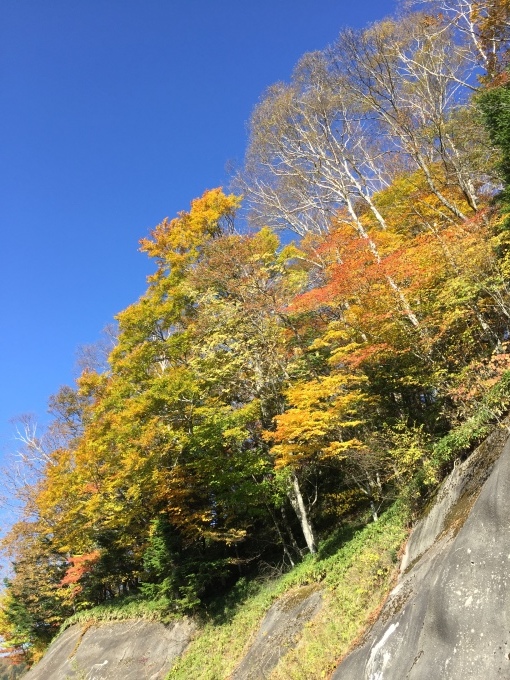 f0350468_18251921.jpeg