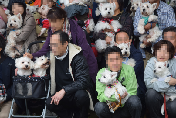 b0242873_23441227.png