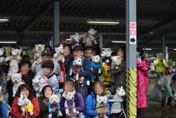 b0242873_23500473.png
