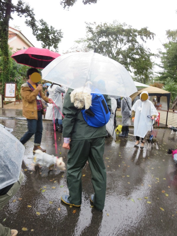 髭犬祭のおもいで。_d0264176_13232896.jpg