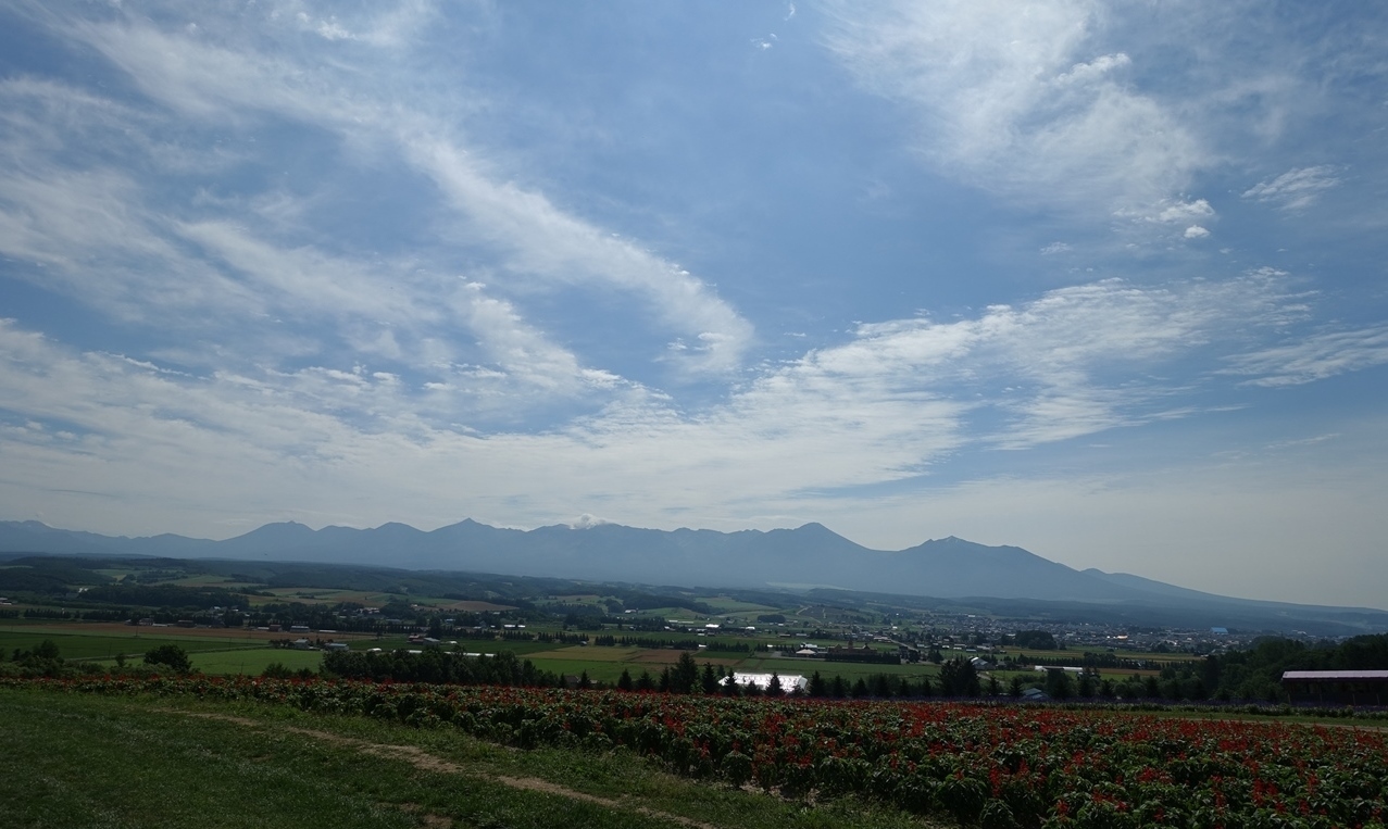 e0167780_15483130.jpg