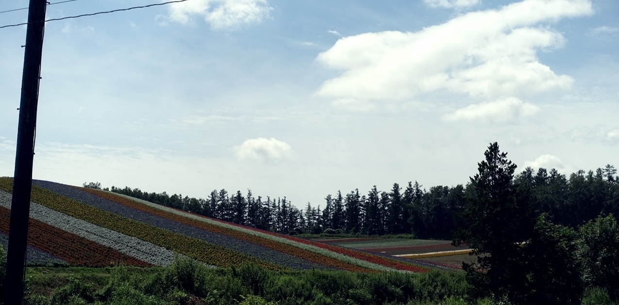 e0167780_15493887.jpg