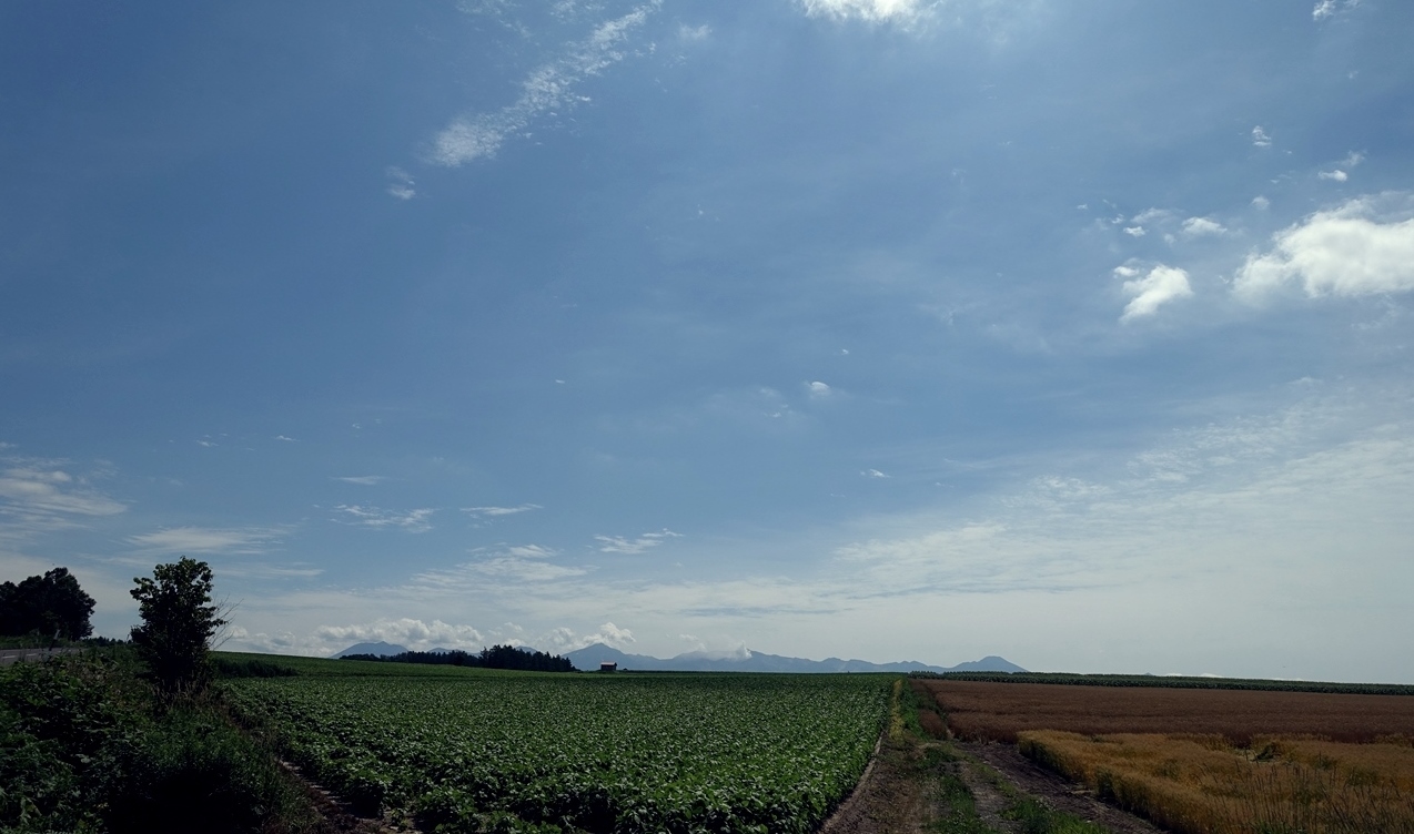 e0167780_15495019.jpg