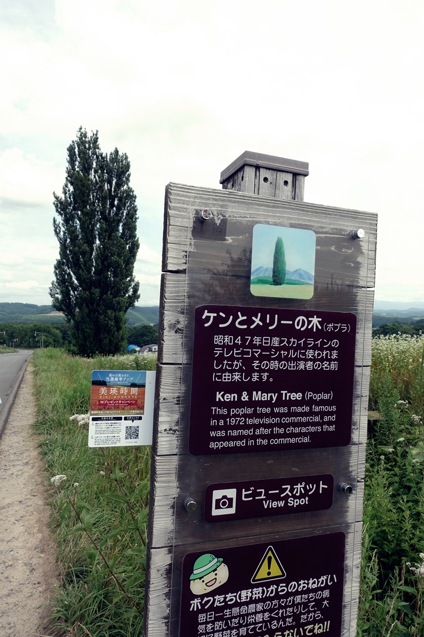 e0167780_15522540.jpg