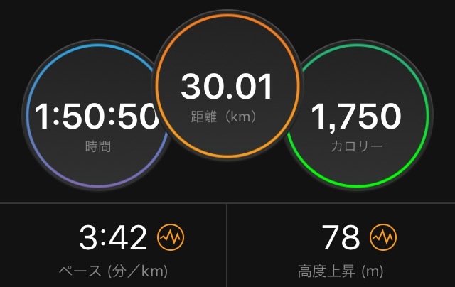 30kmペース走なのか?_f0310282_17523297.png