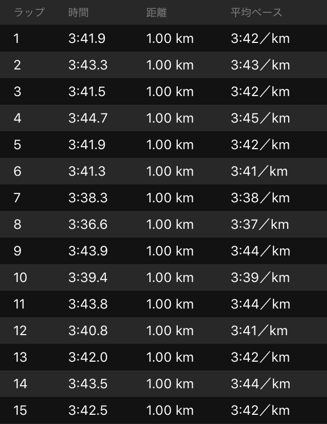 30kmペース走なのか?_f0310282_17524715.png